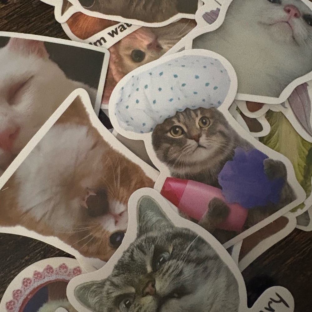 Cat Sticker Pack - Multicolor - Picture 7 of 9